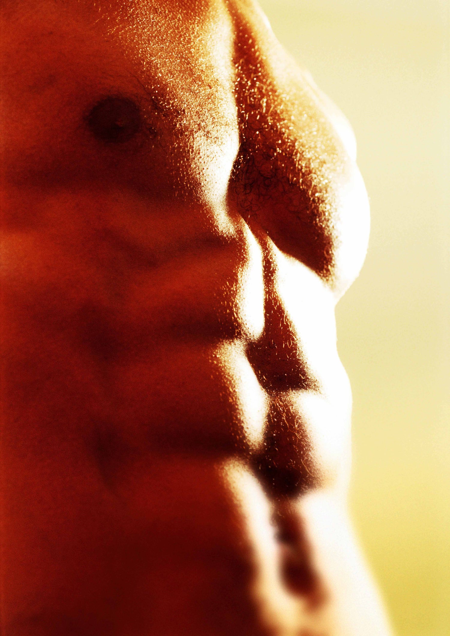 Abdos : les muscles du centre du corps