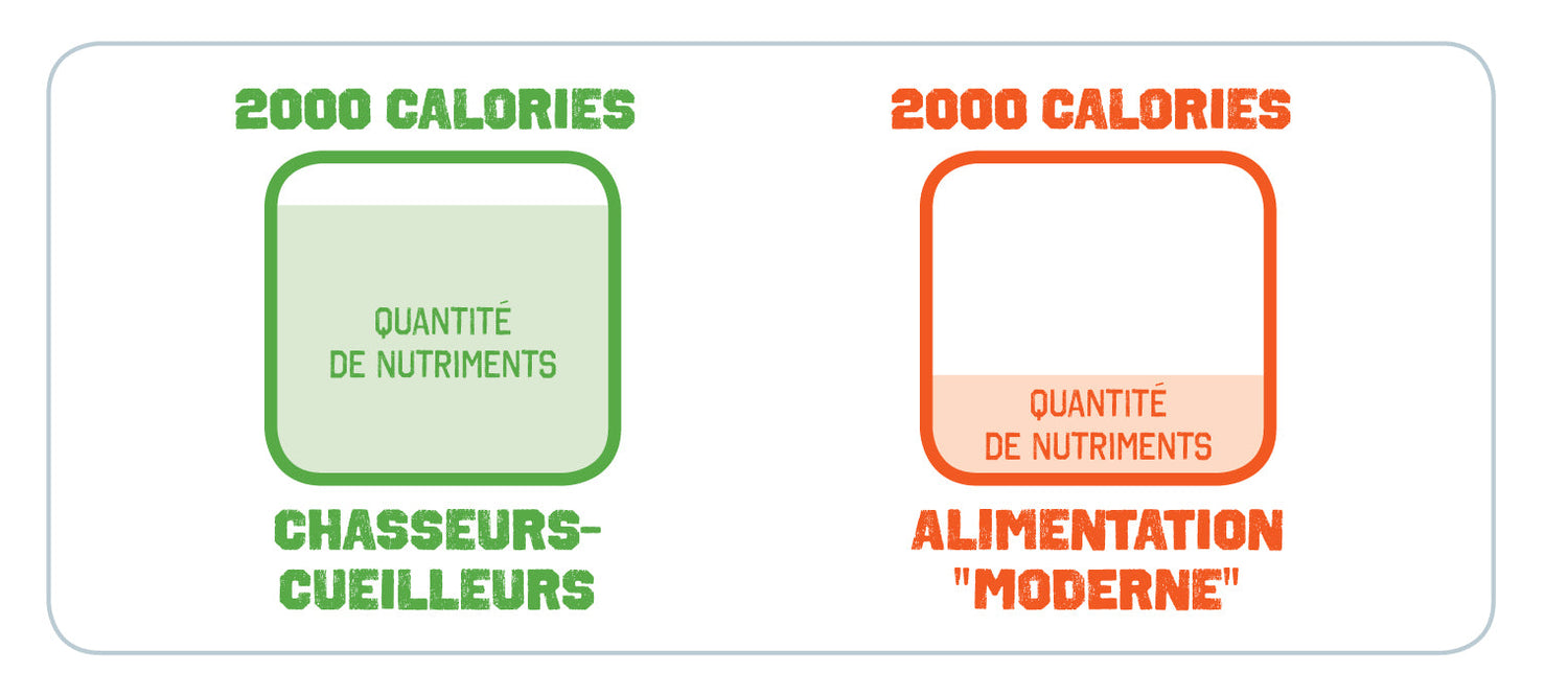 Manger paléo : que mettre dans son assiette ?