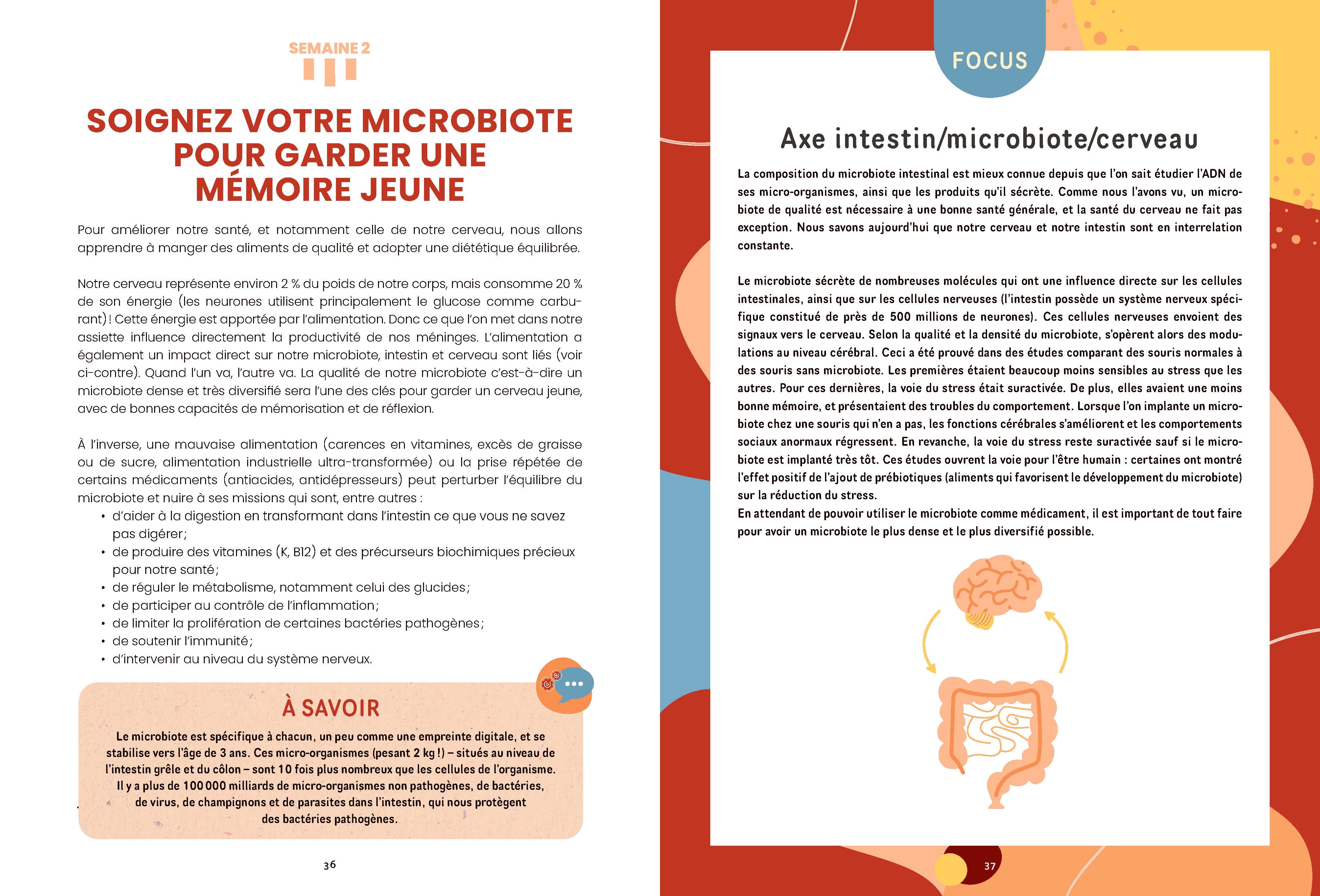 Je muscle ma mémoire (Nouvelle édition)