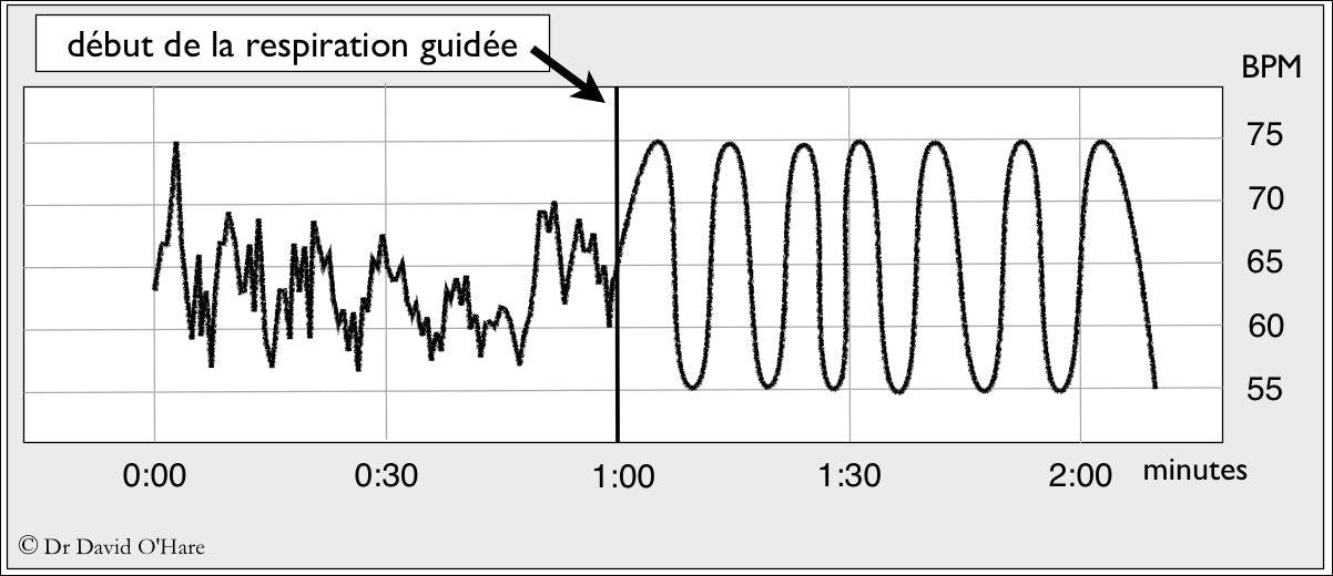 Comment entrer en cohérence cardiaque