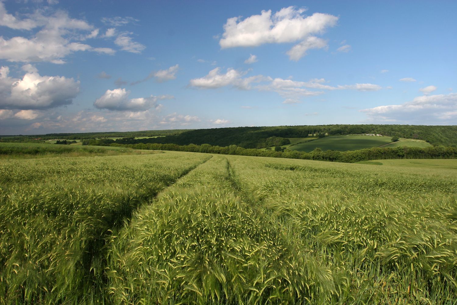 Christian Rémésy : « la crise agricole me donne raison »