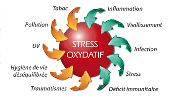 Qu'est-ce que le stress oxydant?